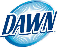  Dawn Logo