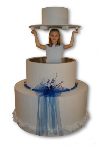 Large Pop-out Cake