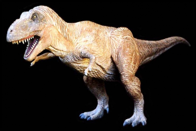 Award-Winning Tyrannosaurus Rex Model