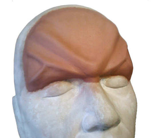 Alien Forehead "Romulan" Style Sculpt by Tim Vittetoe