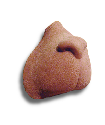 Cat Nose Sculpt by Tim Vittetoe