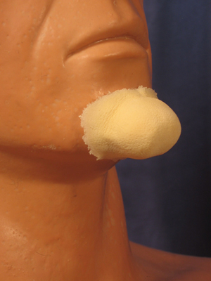  Small Witch Chin - Foam Latex